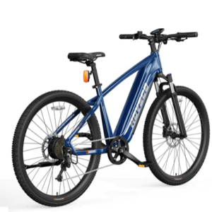 Electric bikes for adults