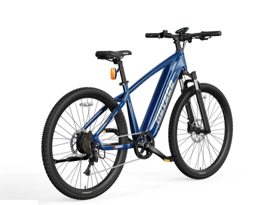 Electric bikes for adults