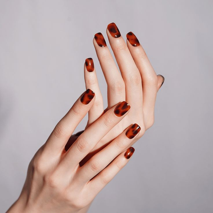 Short square latte tortoiseshell nails; translucent jelly brown pattern under studio light, minimal jewelry.